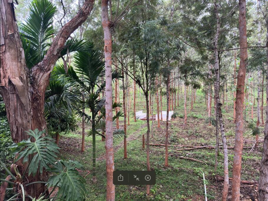 Serenity Farm Stay Hampāpura Exterior photo